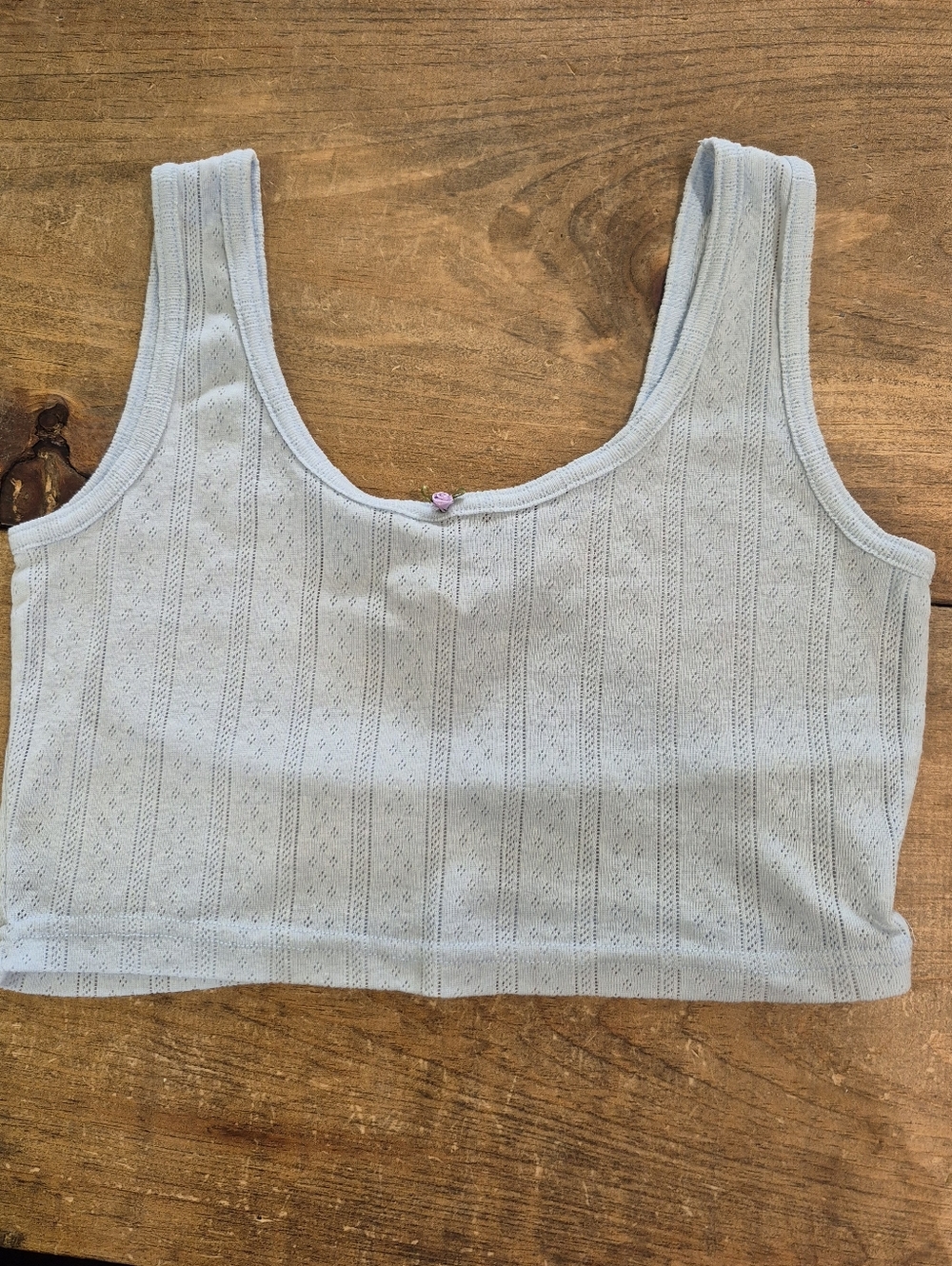 ONLY Eyelet Cotton Baby Blue Crop Top